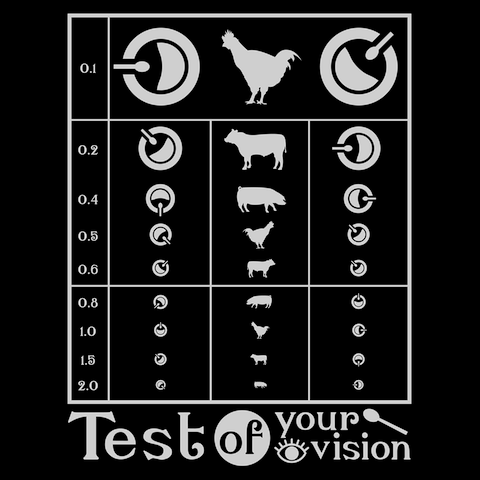 カレー好きの視力検査Tシャツ