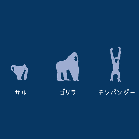 サル ゴリラ チンパンジーTシャツ