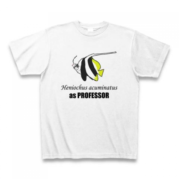 ハタタテダイTシャツ